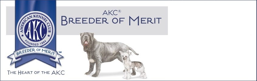 akc top breeder, breeder of merit