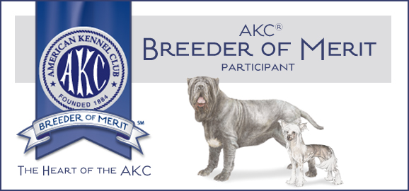 neapolitan mastiff breeder merit award